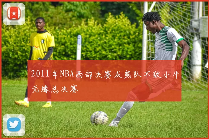 2011年NBA西部决赛灰熊队不敌小牛无缘总决赛
