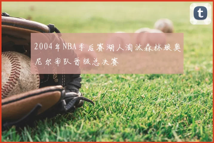 2004年NBA季后赛湖人淘汰森林狼奥尼尔率队晋级总决赛