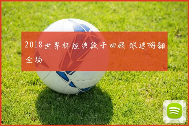 2018世界杯经典段子回顾 球迷嗨翻全场