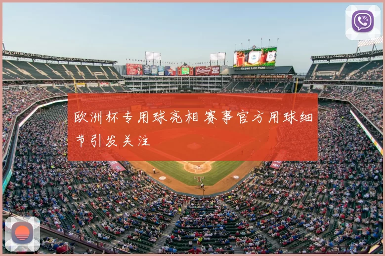 欧洲杯专用球亮相 赛事官方用球细节引发关注
