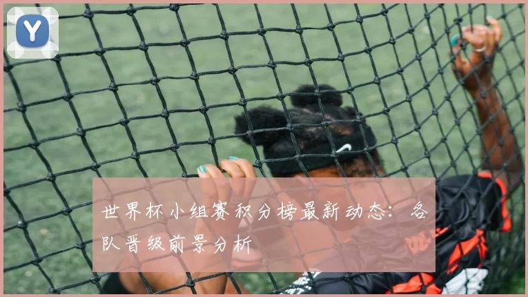 世界杯小组赛积分榜最新动态:各队晋级前景分析