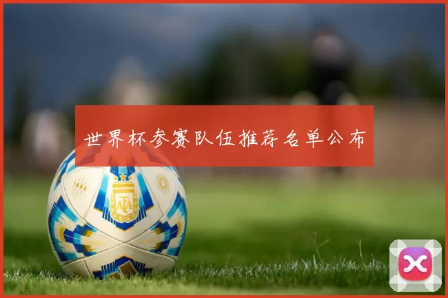 世界杯参赛队伍推荐名单公布