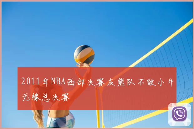 2011年NBA西部决赛灰熊队不敌小牛无缘总决赛