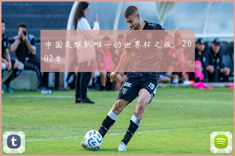 中国足球队唯一的世界杯之旅:2002年