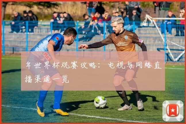 年世界杯观赛攻略:电视与网络直播渠道一览