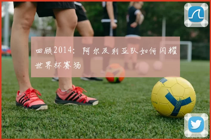 回顾2014:阿尔及利亚队如何闪耀世界杯赛场